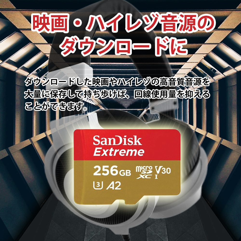 256GB microSDXCカード microSDカード SanDisk サンディスク Extreme UHS-I U3 V30 A2  R:160MB/s W:90MB/s スイッチ switch 動作確認済 海外リテール SDSQXA1-256G-GN6MN ◆メ | 風見鶏