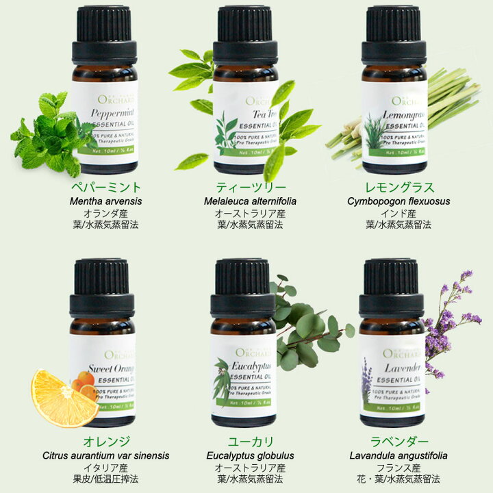 楽天市場】精油 10ml 6種セット オレンジ ユーカリ ペパーミント 