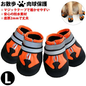  C hbOu[c p h ~ JC U ₷ ~ V[Y miwakura a  ی ̉h~ [obOt 4Zbg ^/^ LTCY 8cm IW MPS-RB4P-OR-L