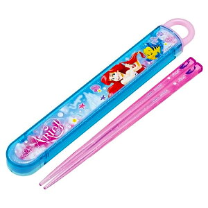 ٓp XChZbg AG 24 fBYj[ q LbY ̎q 16.5cm SKATER XP[^[ XCh Xgbp[t OV[t 658945-ABS2AMAG 