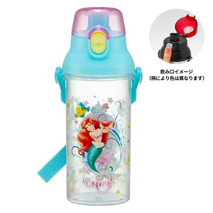  ݃v^b`NA{g AG 24 SKATER XP[^[ q ̎q e480ml   L^Cv H@Ή OV[ V_[xgt 658990-PSB5TR  yyV