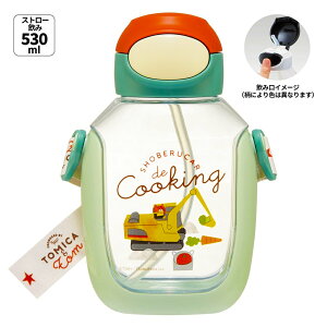  vbVXg[{g ނς g~Jƃg SKATER XP[^[ q LbY ǂ Xg[݃^Cv e530ml V_[xgt 666728-PDSH6DX  yyVWz