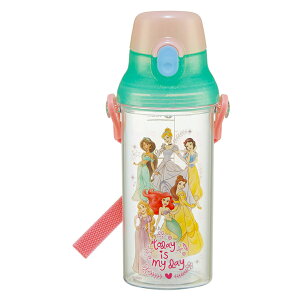  vZX 23 hN}[J[{g SKATER XP[^[ q ̎q e480ml   ڐ H@Ή OV[ V_[xg 651472-PSB5TRC  yyVWz