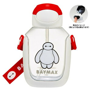  vbVXg[{g xC}bNX 25 SKATER XP[^[ q LbY ǂ Xg[݃^Cv e530ml V_[xgt 685217-PDSH6DX  yyVWz