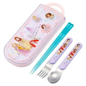 ٓp gIZbg vZX 25 fBYj[ SKATER XP[^[ q 16.5cm/Xv[EtH[N13cm XCh OV[t 689925-TACC2AG 