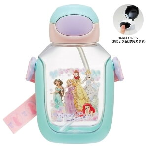  vbVXg[{g vZX 25 SKATER XP[^[ q LbY Xg[݃^Cv e530ml V_[xgt 690044-PDSH6DX  yyVWz