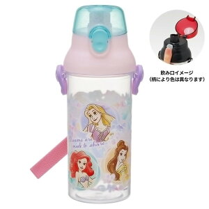  vZX 25 hN}[J[{g SKATER XP[^[ q e480ml   ڐ H@Ή OV[ V_[xg 690068-PSB5TR  yyVWz