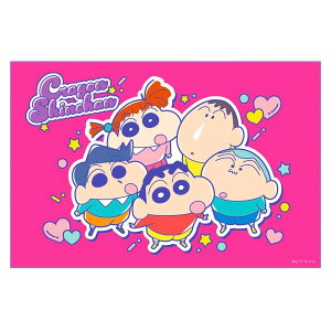 W[V[g N񂿂 25 STCY 1lp  ^ sNjbN h SKATER XP[^[ q 킢 RpNg TCY90×60cm 693380-VS1 