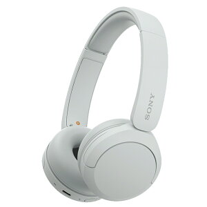 CXwbhz wbhZbg WH-CH520 SONY \j[ Bluetooth nYt[ NCbN[d ^y }CNt sAi zCg WH-CH520/WZ  yyVWz