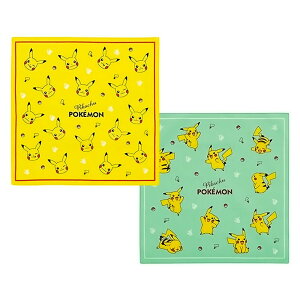 `NX 2g |PbgX^[ sJ`E SKATER XP[^[ q ʊw ʉ 킢 100 TCY430×430mm 2Zbg 710575-KB4WN 