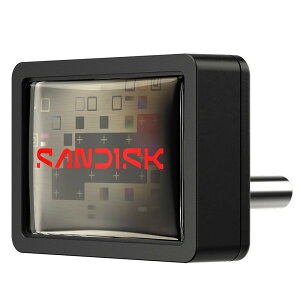 USB������ 64GB USB-C SanDisk �T���f�B�X�N Extreme Fit �����^ R:300MB/s USB3.2 Gen1 Type-C �C�O���e�[�� SDCZ530-064G-G46 ����