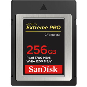 CFexpress 256GB Type B J[h Extreme PRO SanDisk TfBXN RAW 4KΉ R:1700MB/s W:1200MB/s COe[ SDCFE-256G-GN4NN 