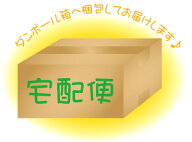 宅配便オプション◆宅