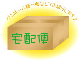 宅配便しっかり梱包サービス 「あす楽」対応 ◆宅