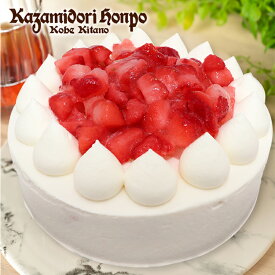 送料無料 苺デコレーションケーキ 4号 1ホール 直径12cm 冷凍ケーキ お取り寄せ 誕生日 記念日 お祝い スイーツ