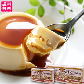 送料無料 風見鶏カスタードプリン 2個 3個 常温 スイーツ 詰め合わせ 人気 手土産 内祝 出産祝 退職祝 お礼 お返し 誕生日 お取り寄せ ギフト 固め 濃厚 定番 なめらか おいしい お土産 絶品 贈答 引出物