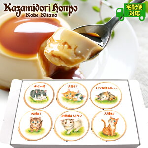 z ˂V[Y \ JX^[hv 6Zbg bsOt 퉷 Mtg v[g  v`Mtg j j Cxg ei a yY  Ȃ߂炩 