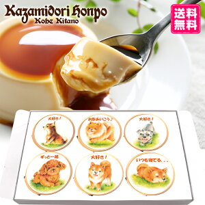  ʃV[Y \ JX^[hv 6Zbg bsOt  퉷 Mtg v[g  v`Mtg j j Cxg ei a yY  Ȃ߂炩 