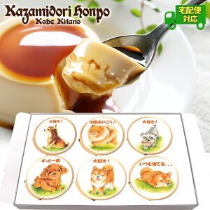 z ʃV[Y \ JX^[hv 6Zbg bsOt  퉷 Mtg v[g  v`Mtg j j Cxg ei a yY  Ȃ߂炩 