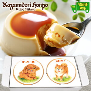 z ʃV[Y \ JX^[hv 2Zbg bsOt  퉷 Mtg  v`Mtg j j Cxg ei a yY  Ȃ߂炩  _