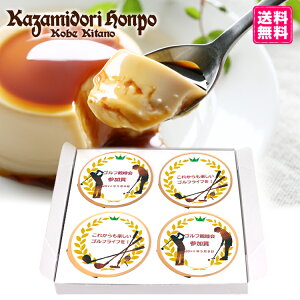  St ꃁbZ[W JX^[hv 4 bsOt z[C StRy Q LO ei 2 퉷  XC[c mَq Mtg mxeB 