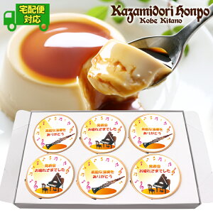 宅配便 楽器 名入れメッセージ カスタードプリン6個入 ラッピング付 25種類 吹奏楽部 軽音楽部 弦楽部 音楽 楽器 ピアノ 常温 日持ち スイーツ 洋菓子 名入れギフト ノベルティ オリジナル プ