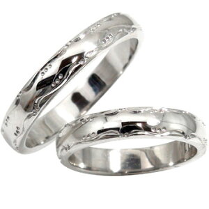 ,蒤,yAO,}bWO,w,v`i900,,PT900,ʉi,H[ 2{Zbg ΊɂȂWG[  傫TCYΉ fB[X Y