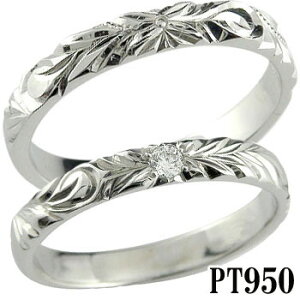 nCAWG[ n[hv`i950 nCA yAO fB[X Y j w O _Ch _C 2{Zbg  蒤 hawaii fB[X Y j