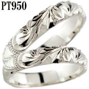 nCAWG[ n[hv`i950 nCA yAO fB[X Y j O w PT950 nCAWG[~łuC_WG[  蒤 hawaii f