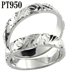 nCAWG[ n[hv`i950 nCA yAO fB[X Y j w nCA }bWO L w PT950 ~ł  蒤 hawaii ΊɂȂWG