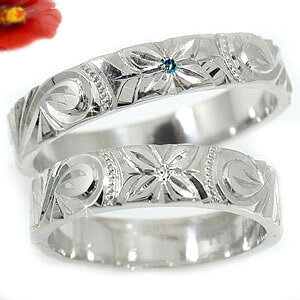 nCAWG[ w nCAyAO _Ch u[_Ch v`i900 PT900 LOO~łuC_WG[  蒤 hawaii ΊɂȂW