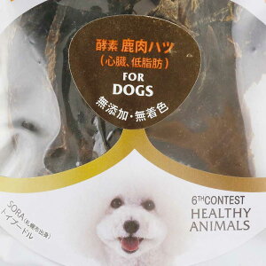 5܂܂Ń|Xg Y Y   W[L[  VJ G]W[L[ nc ڈΎ  Ayyf N S S btďC YEF JAN:4560225772473 wV[