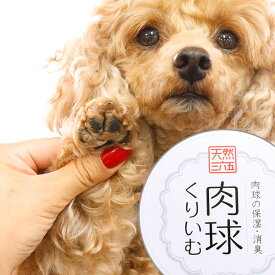 楽天市場 犬 保湿 クリームの通販