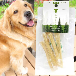 yŒZz [HiX Z[ 󂠂 ܖ2026N217܂] 5܂܂Ń|Xg   Y Y  W[L[ ALXF ALXXeBbN d n[h Tendon Streak n[h^