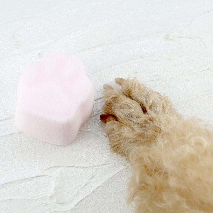 楽天市場 犬 猫 ペット用 入浴剤 バスポン 獣医師監修 肌ケア 毛ケア 皮膚ケア マラセチア菌 アトピー性皮膚炎 血行促進 臭い改善 炭酸入浴剤 赤エゾマツ配合 ギフトに Jan ヘルシーアニマルズ Healthy Animals 楽ギフ 包装 コンビニ受取対応商品