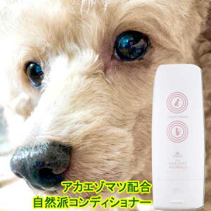 p ybgp RfBVi[ Ags[畆 ybgp PA уPA 畆PA }Z`A AJG]}c ԃG]}cz btďC LP PA уPA 畆PA Mtg JAN:4