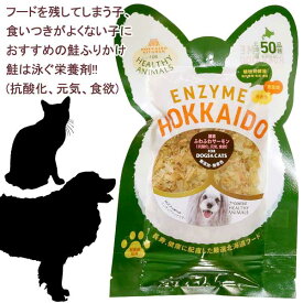 【最短発送】 4袋までポスト投函 犬 猫 おやつ 無添加 国産 ふわふわサーモン 鮭ふりかけ さけ サケ 植物発酵酵素 たもぎ茸 健康 安心 安全 獣医師監修 無添加・無着色 JAN:4560225775030 ヘルシーアニマルズ