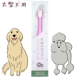 yŒZz |Xg p Lp uV Ԃ炵v`iim MTCY ^ ̎uV Rی RECX L uV sN JAN:4560225774316 Vg̉HuV wV[