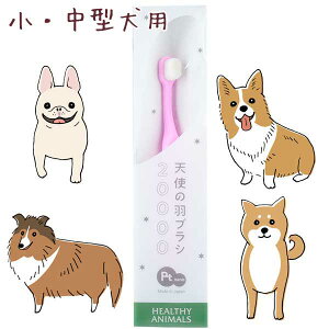 �y�ŒZ�����z�|�X�g���� ���p �L�p ���u���V ���Ԃ炵�v���`�i�i�m S�T�C�Y ���^���E���^�� ���Y�� ���Y ���̎��u���V �L�̎��u���V �R�ی��� �R�E�C���X���� ���L���� ��u���V �s���N �V