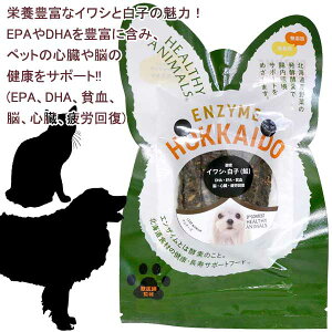 yŒZz 5܂܂Ń|Xg   Y Y z CV  ̔q XeBbN W[L[ Ayyf N S S btďC YEF JAN:4560225776327 w