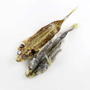 5܂܂Ń|Xg btďC   Y Y z   ̊J Ayyf N S S YEF JAN:4560225776341 wV[Aj}Y