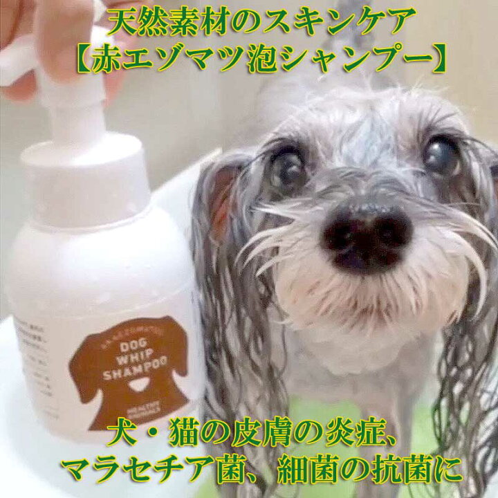 楽天市場 獣医師監修 犬用シャンプー マラセチア菌 アトピー性皮膚炎 ペット用 泡シャンプー 赤エゾマツ配合 臭い改善 肌ケア 毛ケア 皮膚ケア ギフトに Jan ヘルシーアニマルズ Healthy Animals 楽ギフ 包装 コンビニ受取対応商品 かざり屋