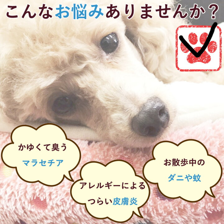 楽天市場 あす楽 犬 猫 肌ケア用品 マラセチア菌 アトピー皮膚炎の予防 改善 天然素材 スキンプロテクトスプレー 50ml 抗菌作用 炎症予防 防虫 獣医師監修 無添加 無着色 Jan Aei Inter World ヘルシーアニマルズ Healthy Animals コンビニ受取対応