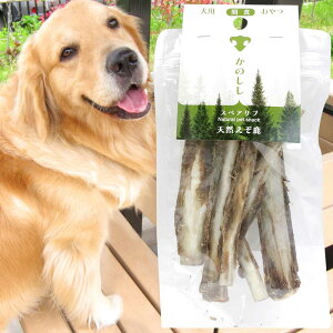 yŒZz 5܂܂Ń|Xg   Y Y  W[L[ XyAuW[L[ Spareribs jerky   VJ G] ڈΎ N S S JAN:4582795890081 ̂