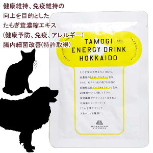 yŒZz  L   ؑ ZkGLX t^Cv Tvg h{⏕Hi  AQ N S S btďC YEF JAN:4560225773692 wV