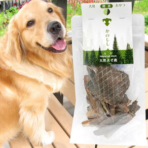 yŒZz [HiX Z[ 󂠂 ܖ2026N217܂] 5܂܂Ń|Xg   Y Y  W[L[ W[L[ Hׂ₷ pp tendon meat jerky   V