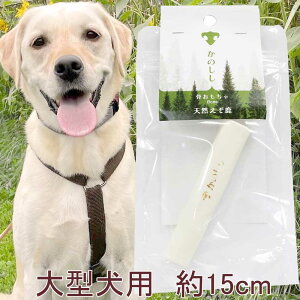 yŒZz 5܂܂Ń|Xg   Y Y p cm  hbOgC ^p   VJ G] ڈΎ N S S JAN:4582795890227 ̂