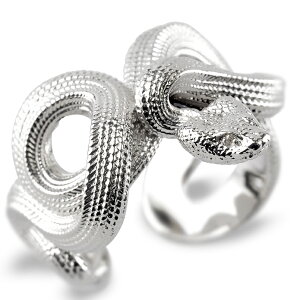 Vo[925  O _Ch Y fB[X  L SILVER sv925 w  ւ wr Xl[N t[TCY _C lC sL[O TO ~fBO j  