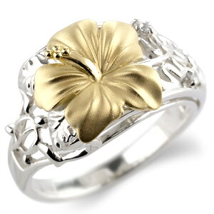 [X[p[Z[10%OFF]w GQ[WO v|[YO fB[X  ޏ ȃGQ[W uC_ LO 18 O v`i nCAnCAWG[ pt900 