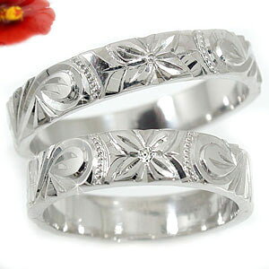 nCAWG[ w nCA yAO fB[X Y j _Ch v`i900 LOO~ł  蒤 hawaii ΊɂȂWG[  lC 